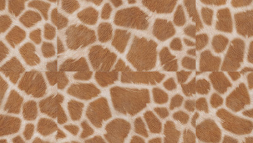 THН_LoungeDIJIEDITION_Benny